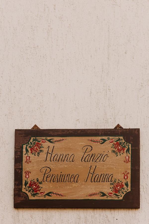 Pensiune Agroturistica Hanna Ocland エクステリア 写真