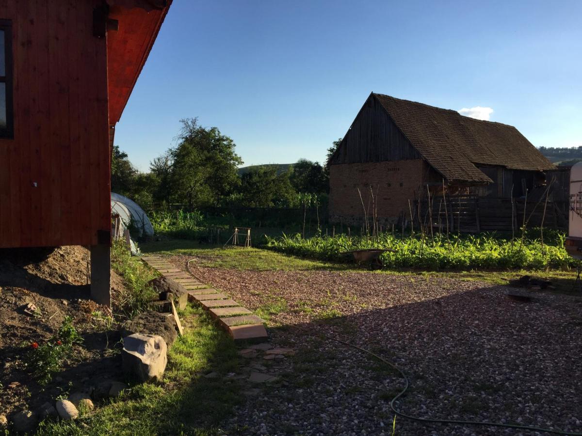 Pensiune Agroturistica Hanna Ocland エクステリア 写真