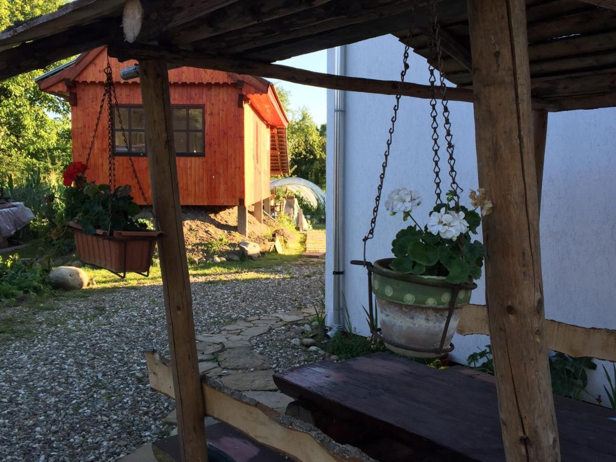 Pensiune Agroturistica Hanna Ocland エクステリア 写真